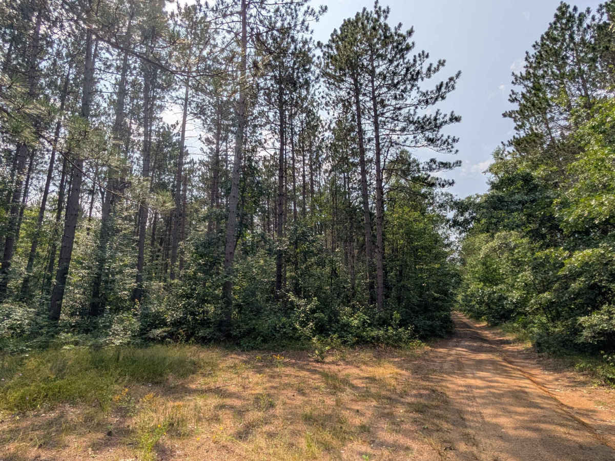 Smith Road - FS 4312  photo 4