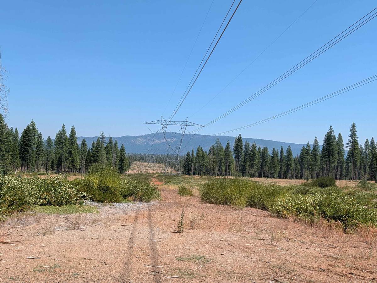 West Lava Rim - FS 40N93Y trail photo