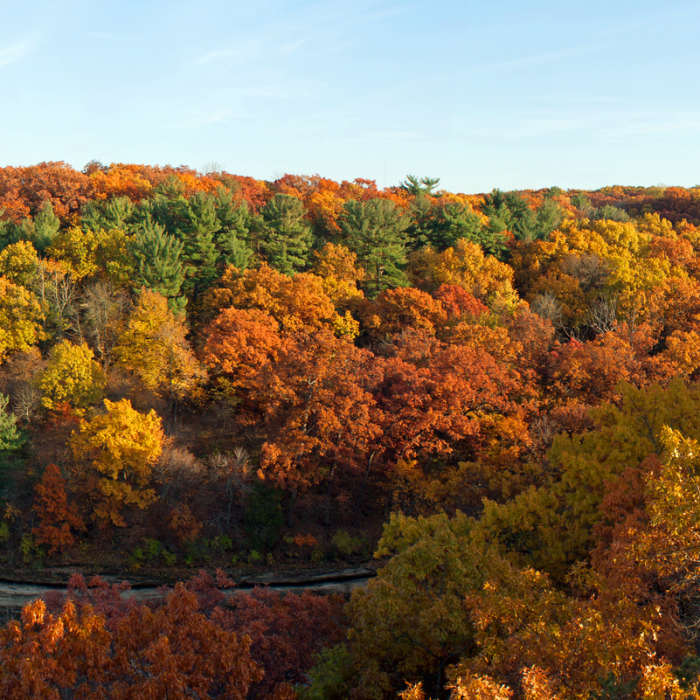 Near Connecting Trail - Starved Rock