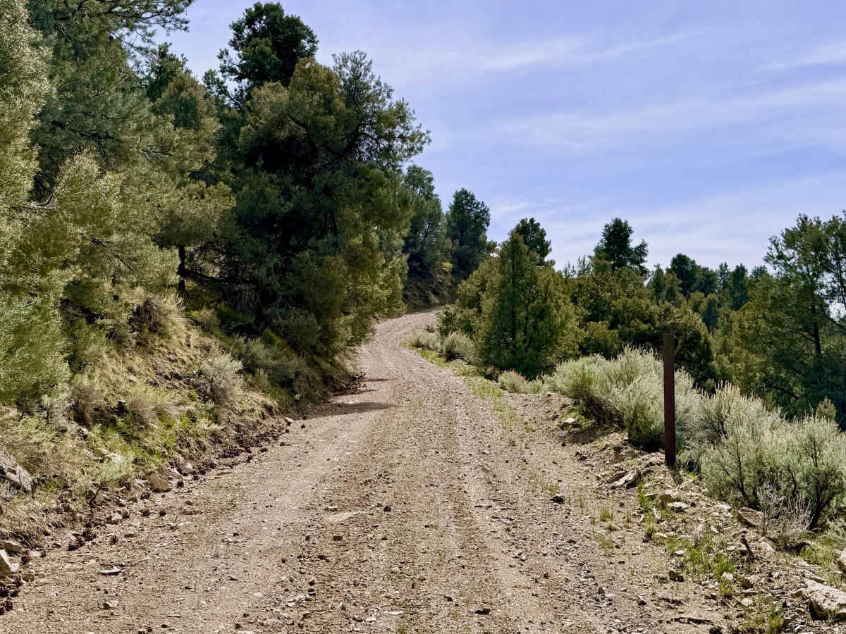 Dry Canyon Alternate - FS 43231 photo 3