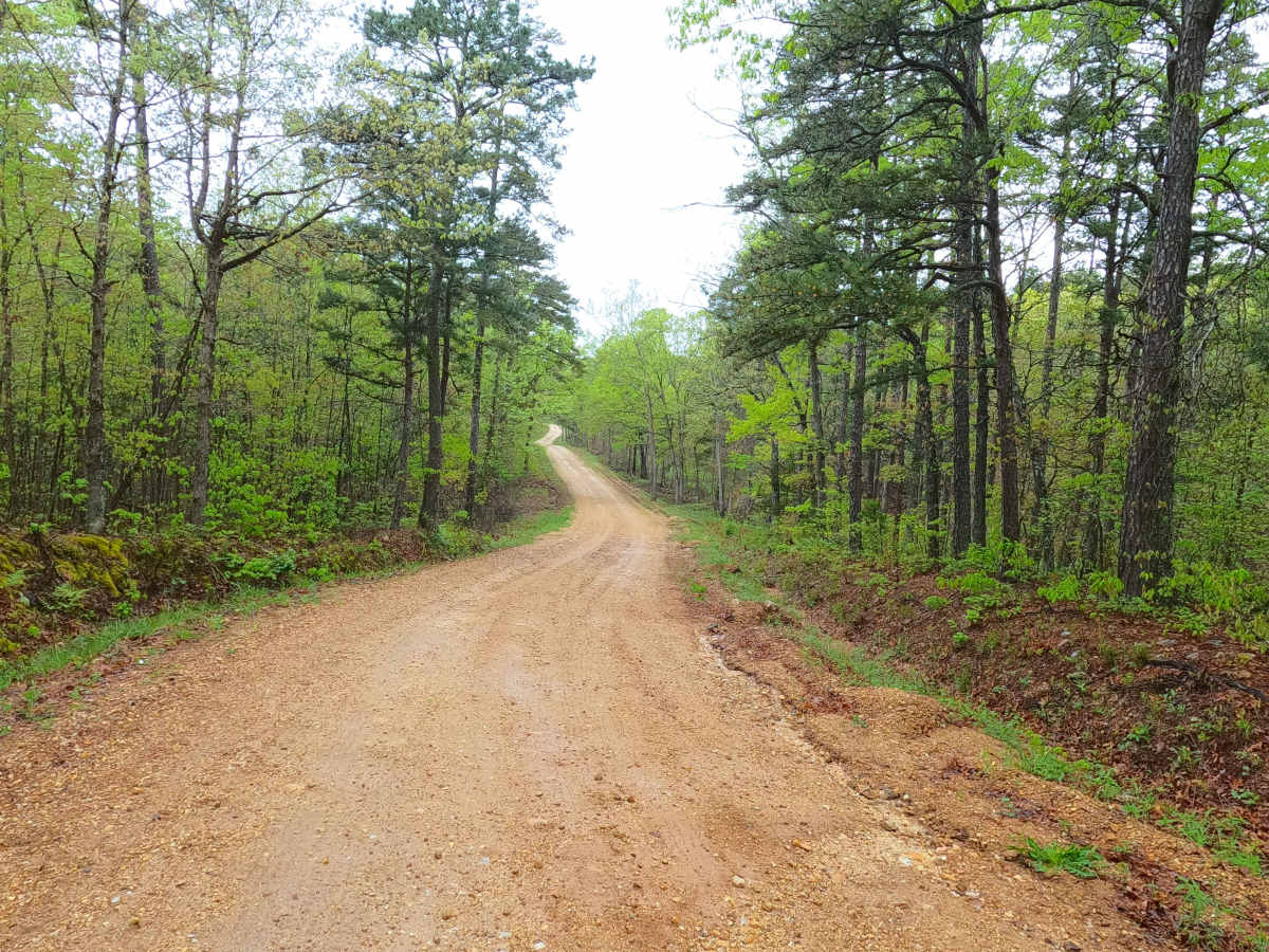 Enough Road - ICR 16 FS 2768 photo 5