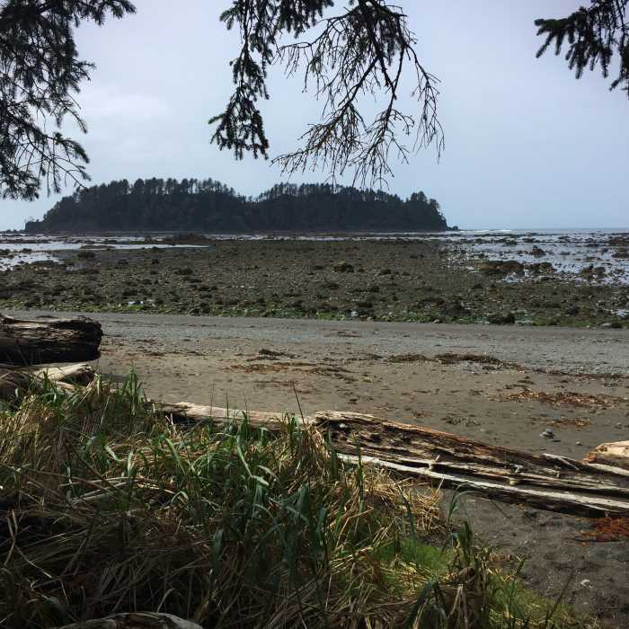 Gap in the trees from Cape Alava at low tide Near Cape Alava Trail