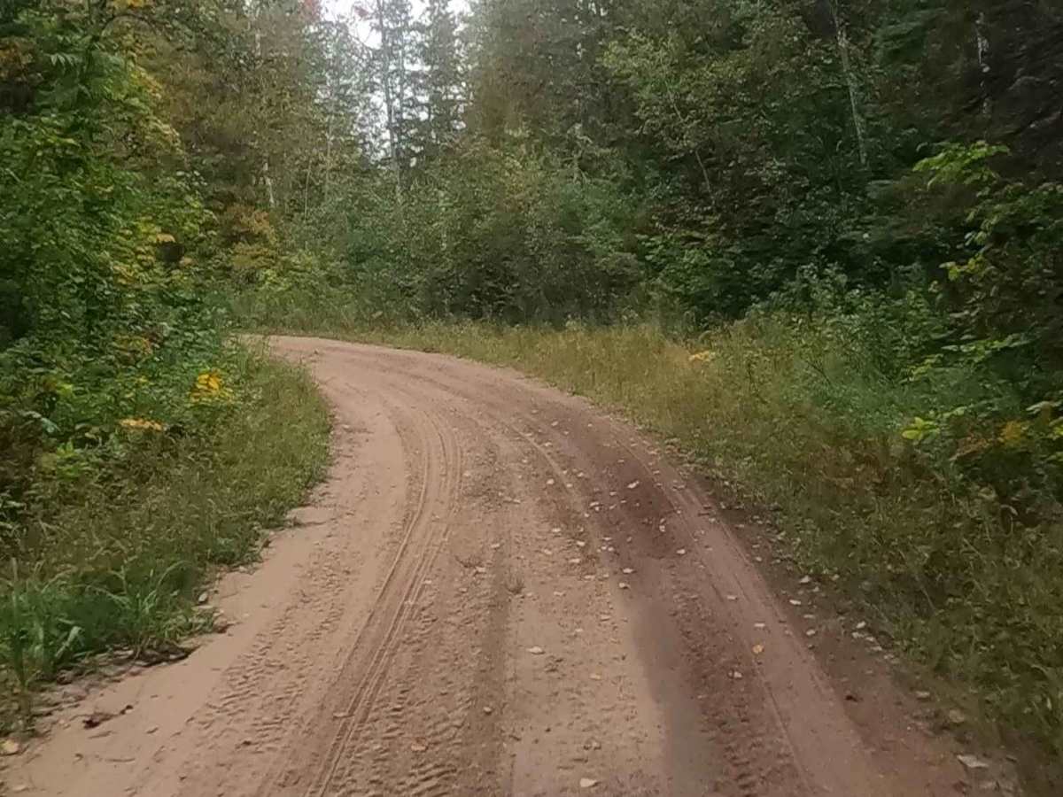 Strickler Truck Road photo 4
