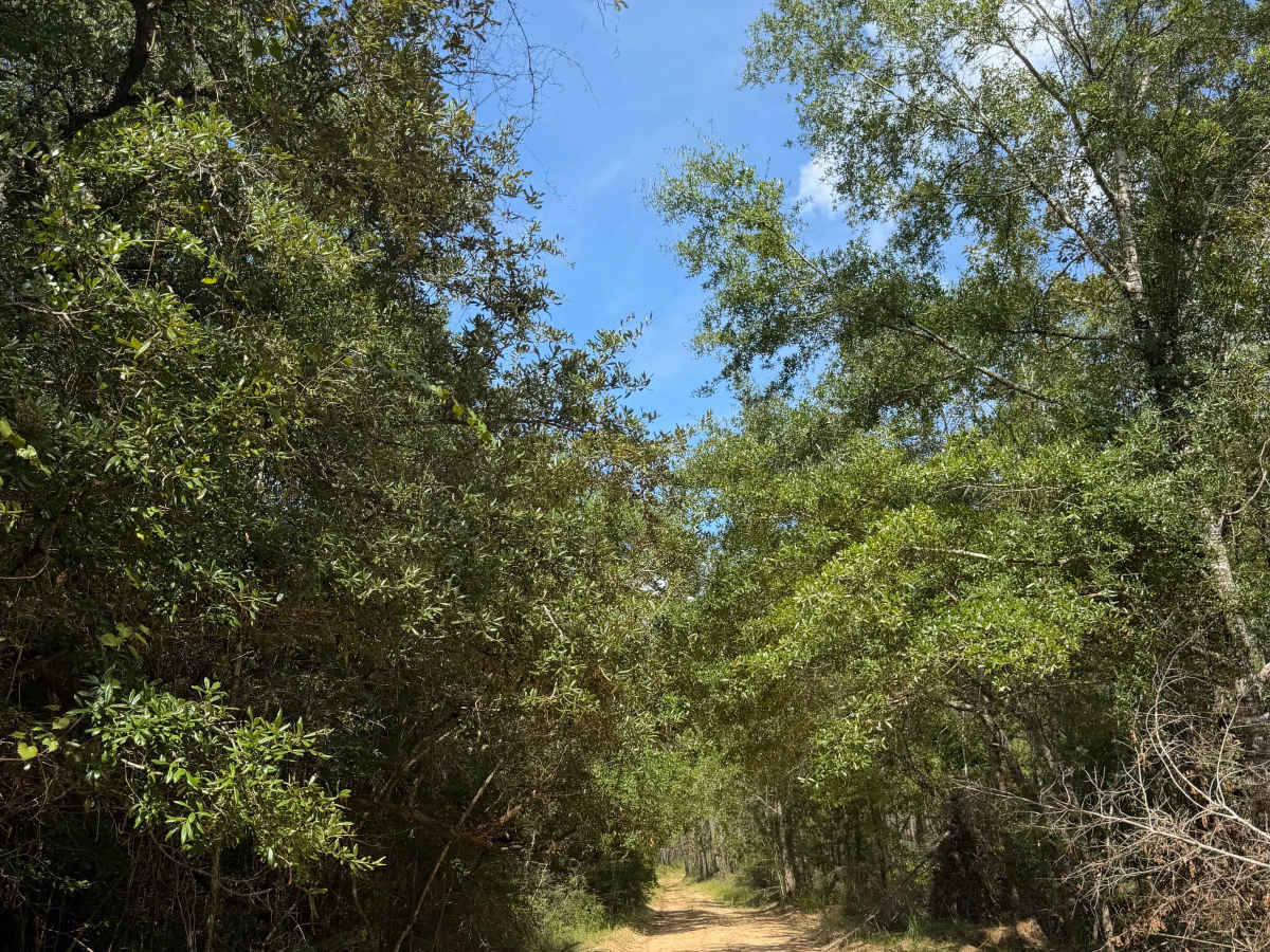 Blackwater River R76 photo 4