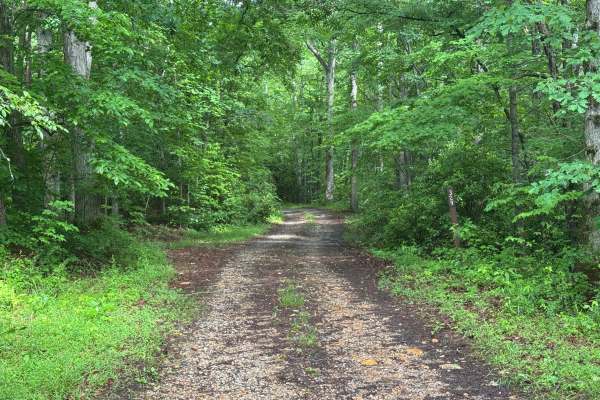 Wildcat Creek - FS 329