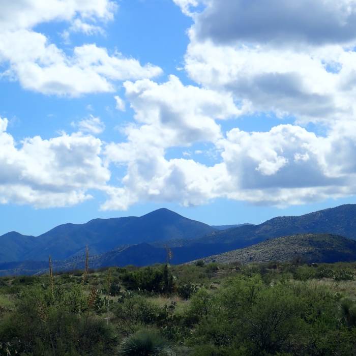 Near Oracle State Park 15.8 loop/trail