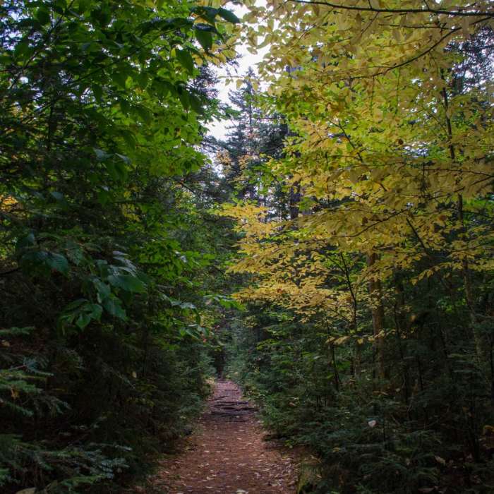 Near Hedgehog Mountain Near Hedgehog Mountain