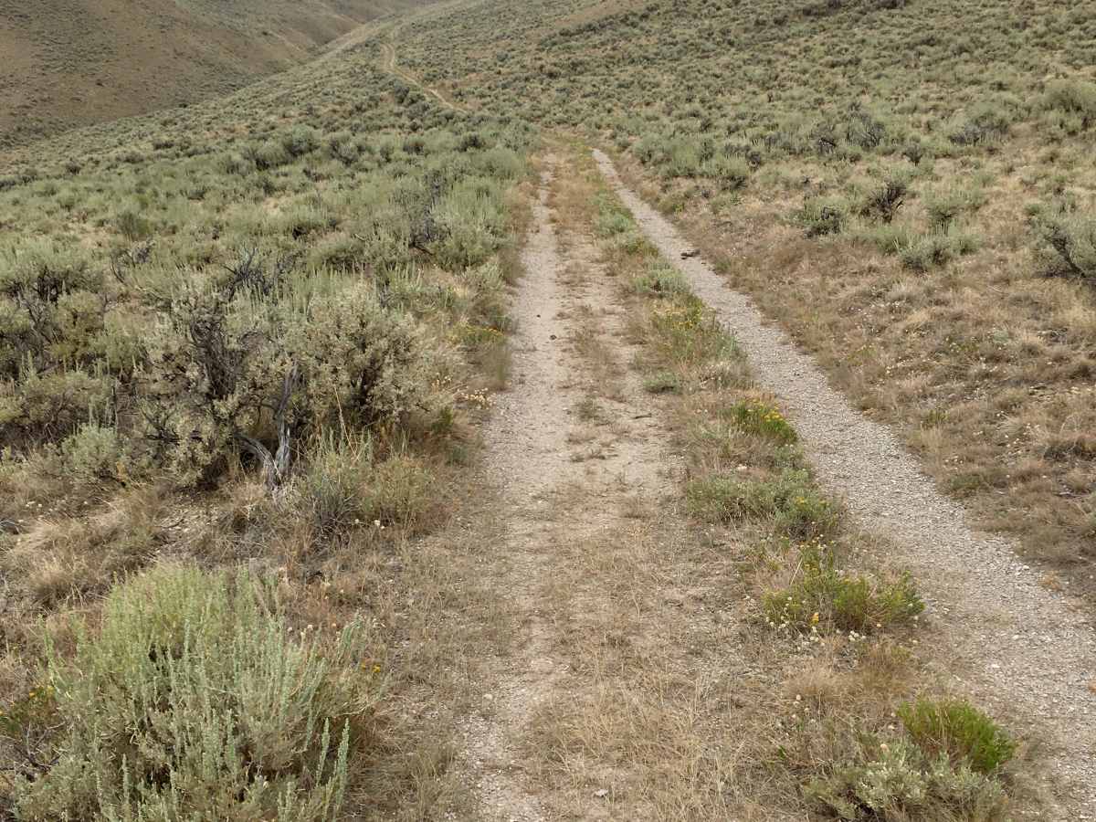 Little Water Creek Road trail photo
