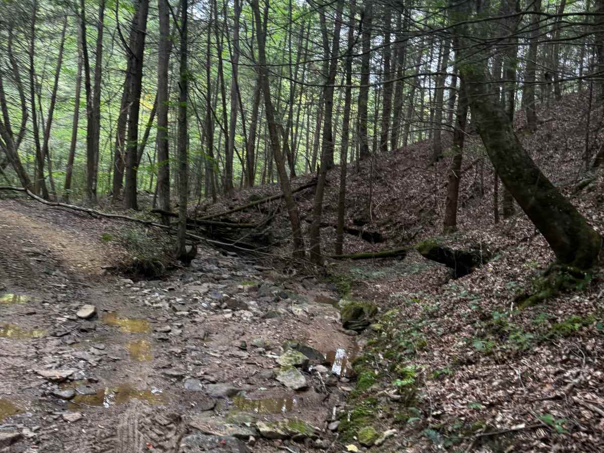 JC Trail 2 photo 6