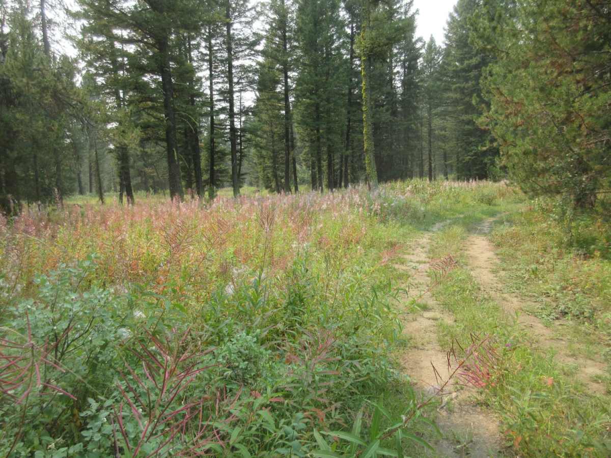 Garner Canyon photo 4