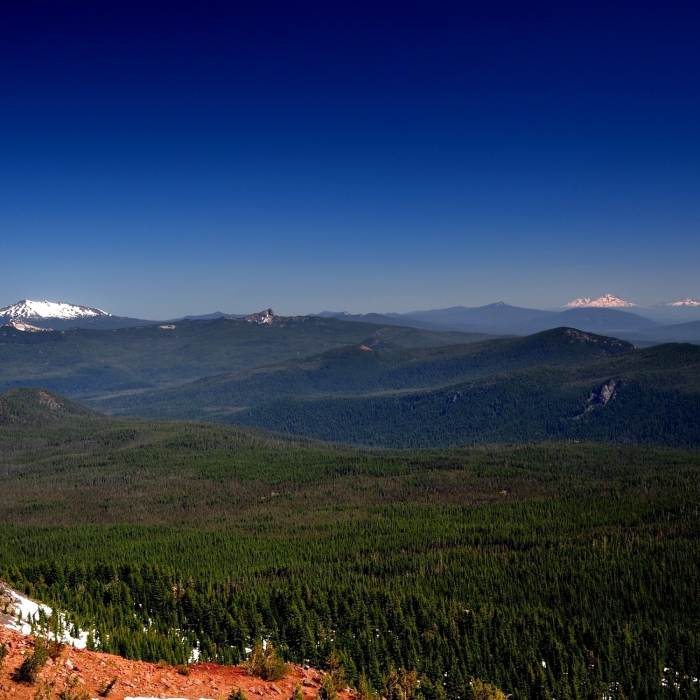 Near Tipsoo Peak Trail #1472