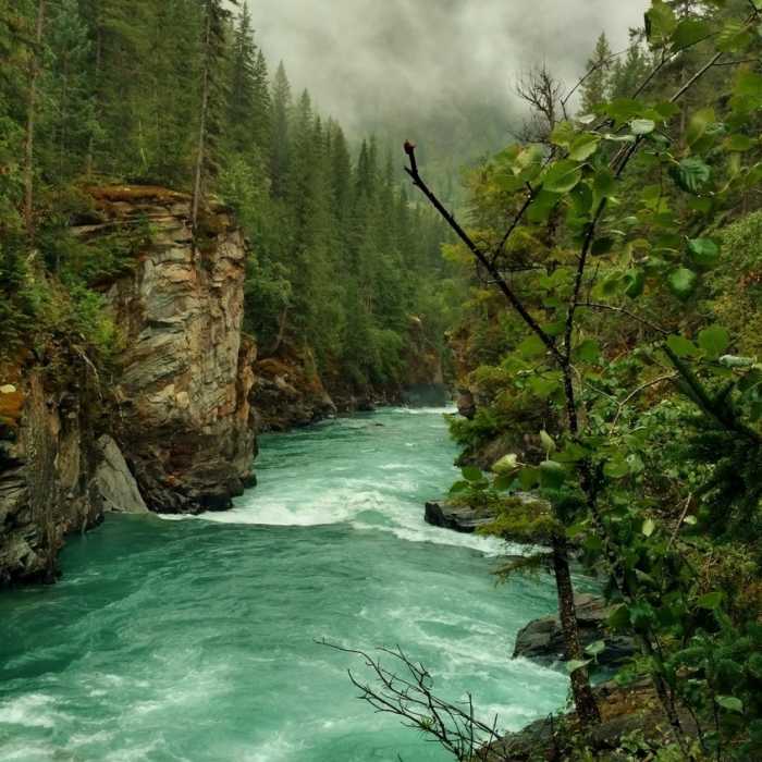 Near Overlander Falls Trail