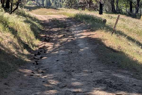 Little Poso Creek - FS 26S12