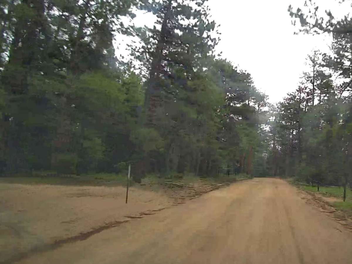 Forest Road 507 photo 4
