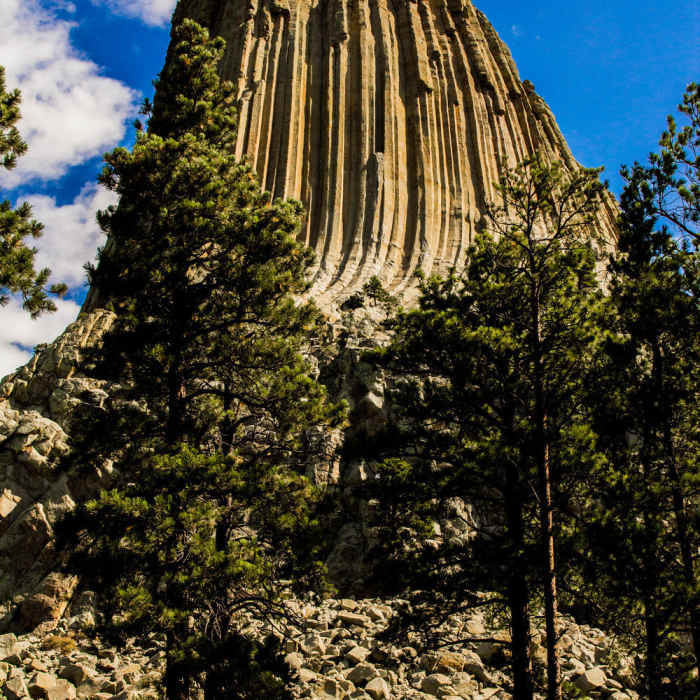 Near Red Beds Trail