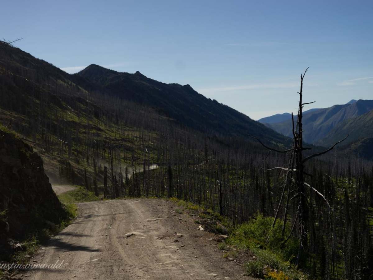 Hart's Pass Road 54 photo 3