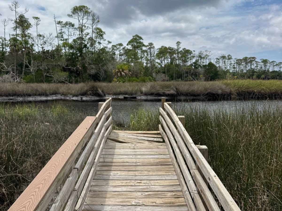 Salt Creek Road trail photo