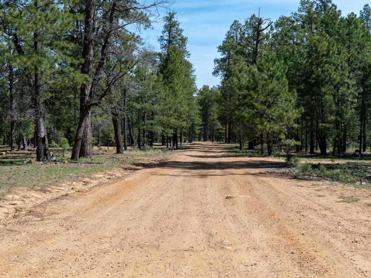 Knoll Ridge - FS 295 photo 3