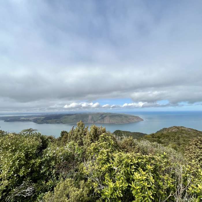 Near Karamatura Track to Mount Donald McLean
