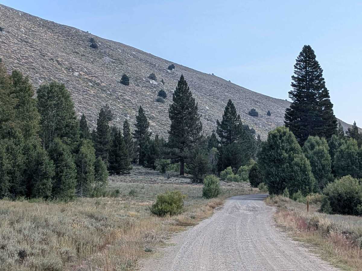 Green Creek Road - FS 32146 photo 4