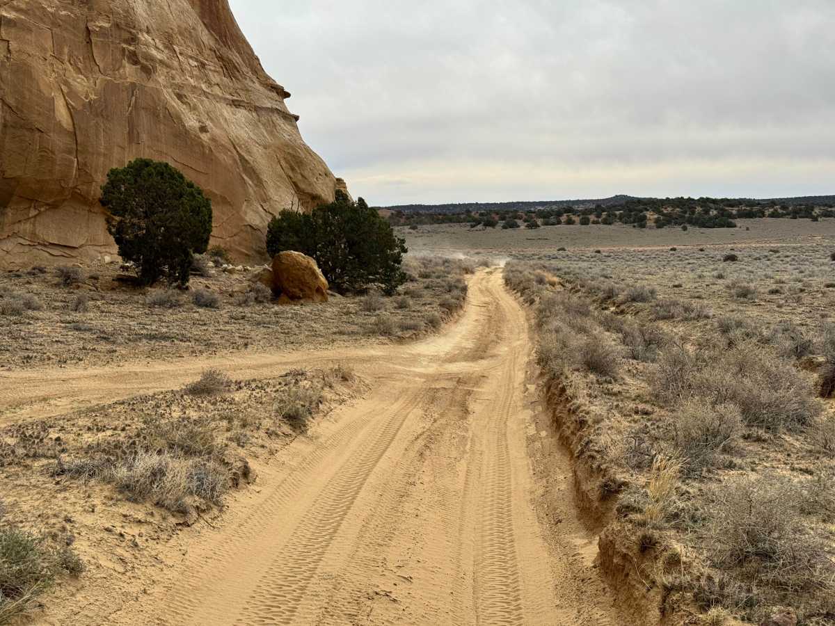 Lone Warrior trail photo