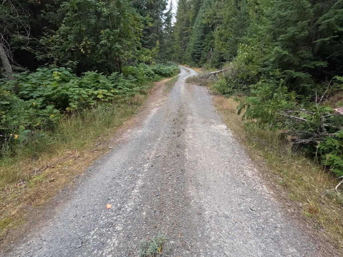 North Skookum Lake Road - FS 5000128 photo 4
