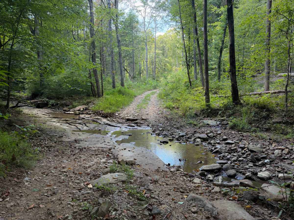 Brashy Fork Trail 6 photo 2