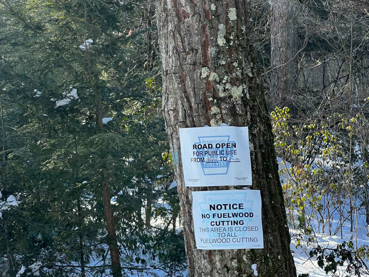Wohlford Gap Trail photo 2