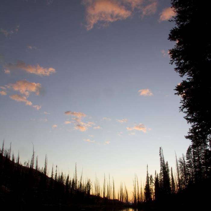 Near Pats Lake, Arrowhead Lake, + Queens River Divide