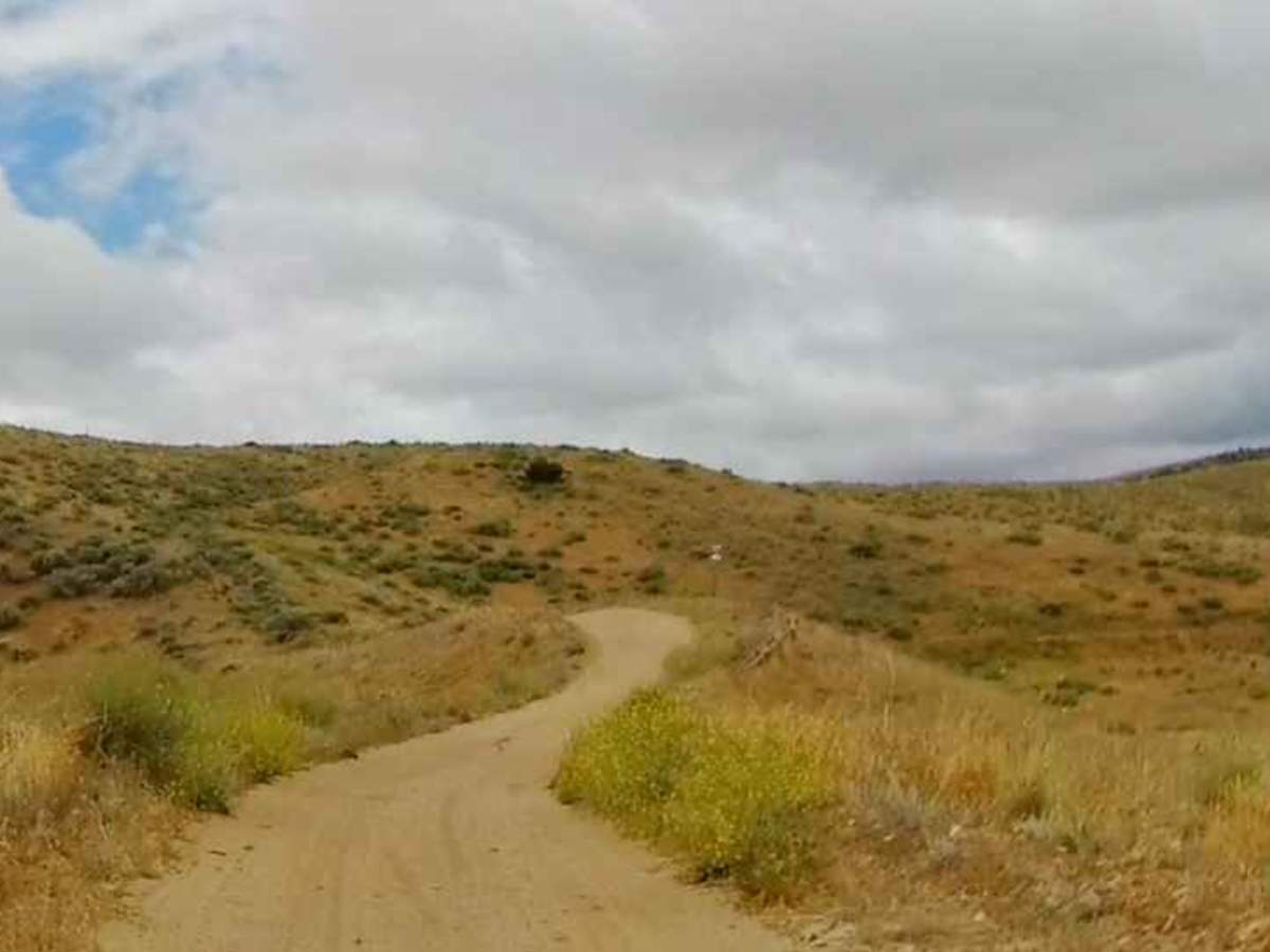 Badger Trail photo 2