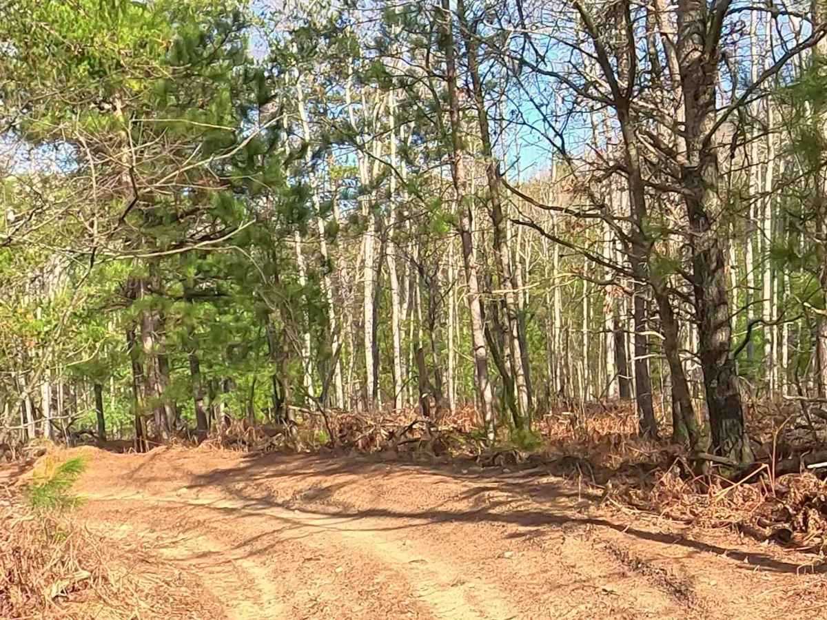 ORV H-57 : Bull Gap Hill Climb - Secondary Return Loop <50" photo 4