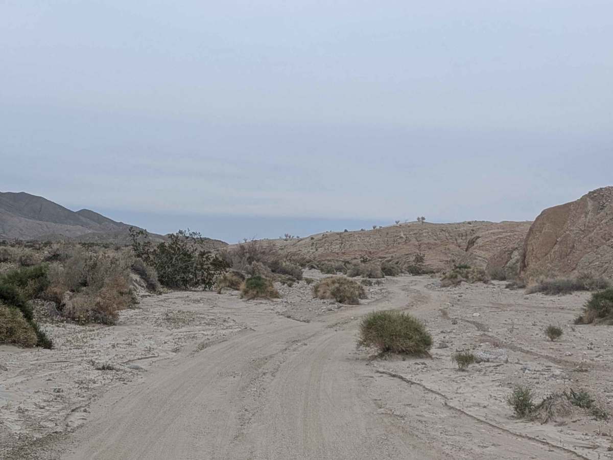 Ella Wash trail photo