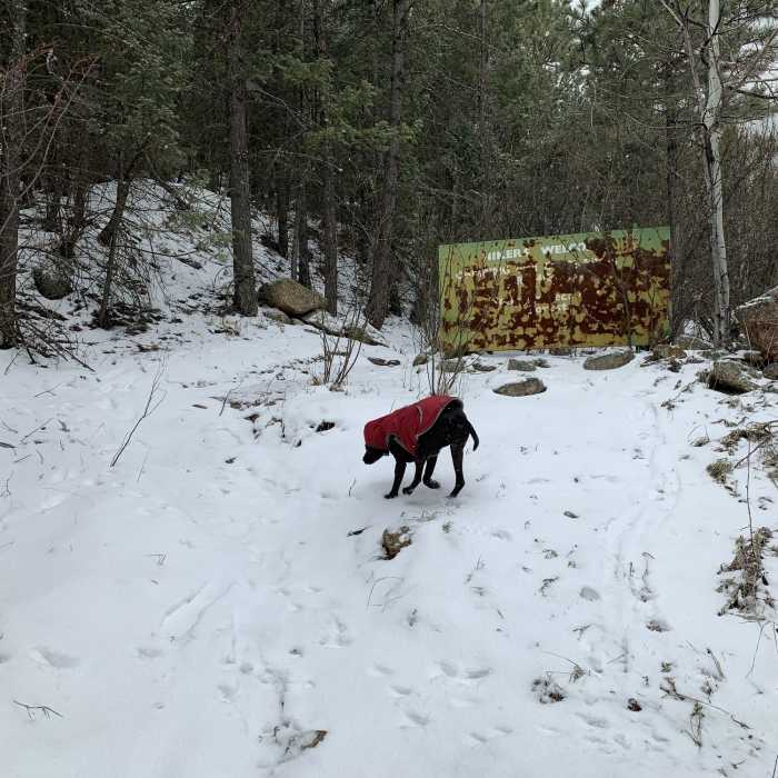 Near Kirkpatrick Trail