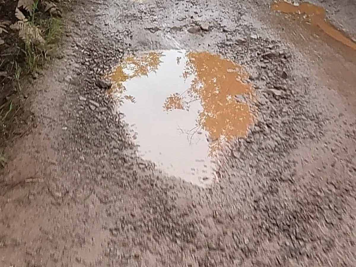 ST3 - ORV Route BD photo 5