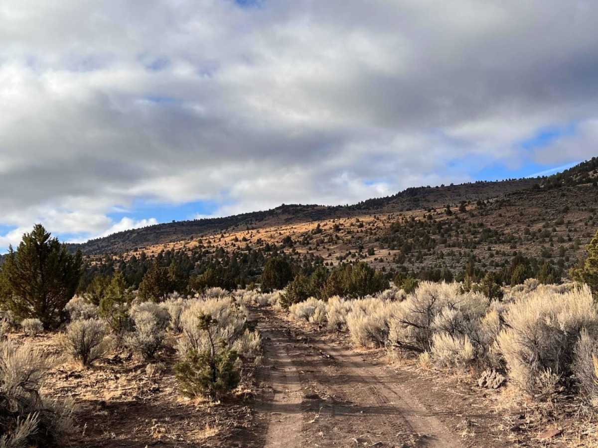 Steens Resort ODT photo 6
