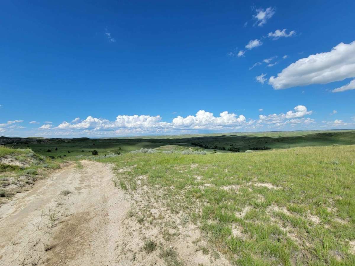 Tour of the Grasslands photo 2