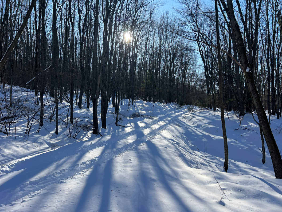 Wohlford Gap Trail photo 4