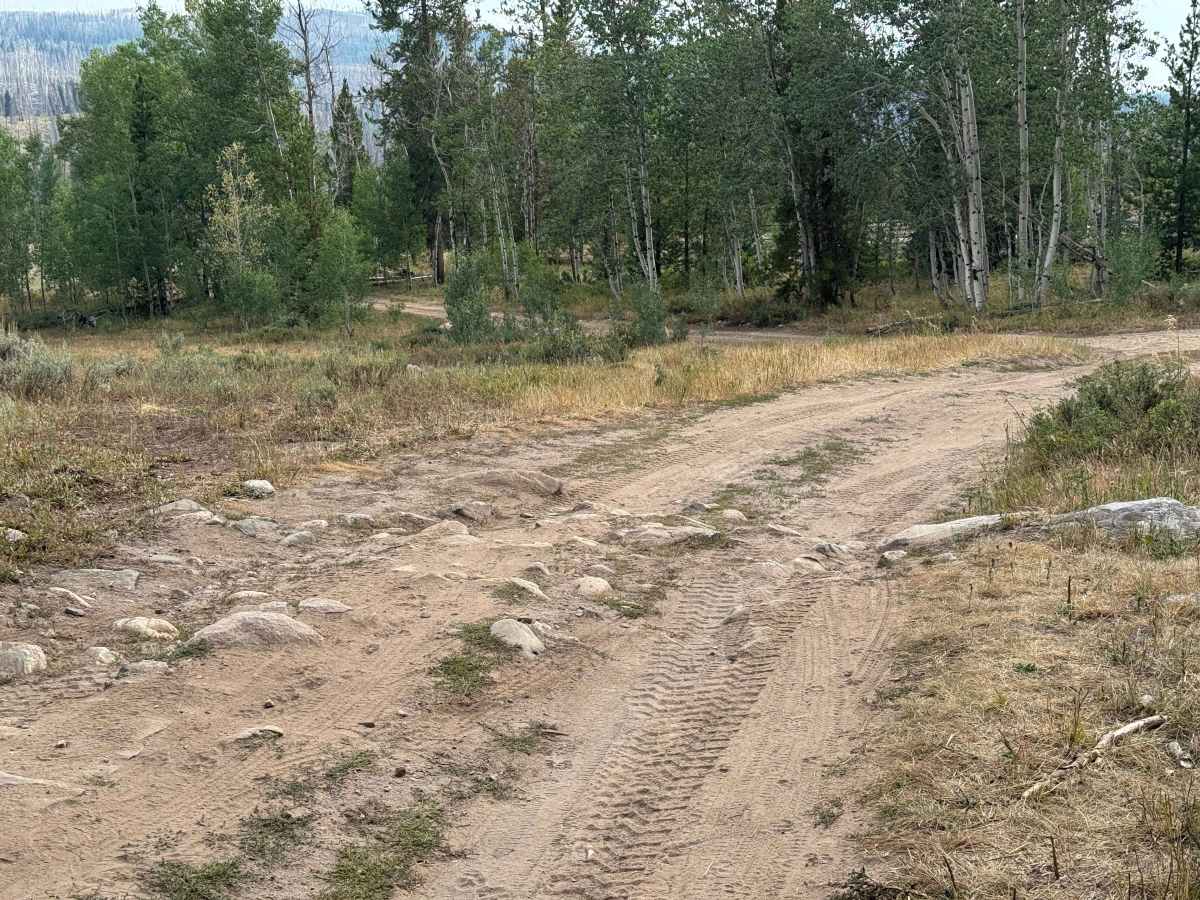 Hinman Lake Road photo 4