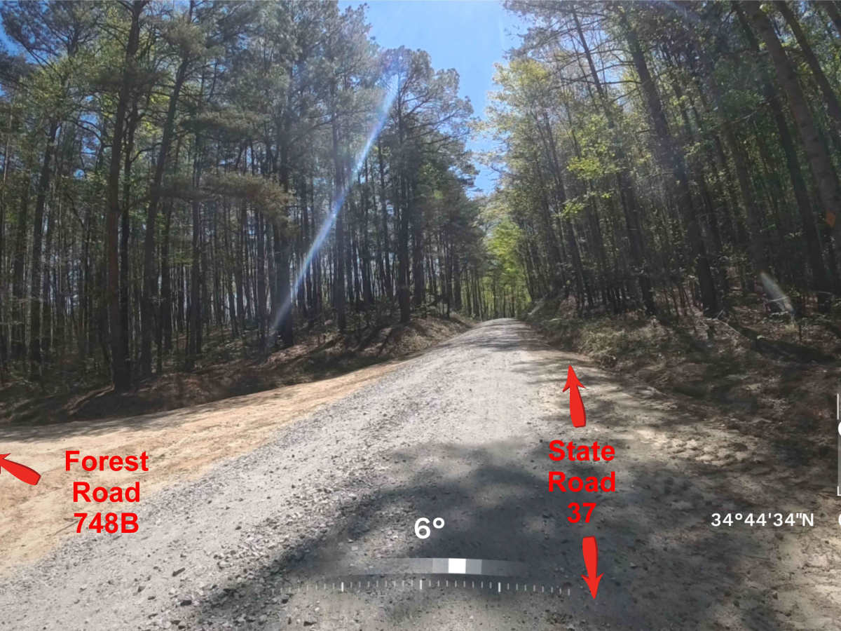 Forest Road 748B trail photo