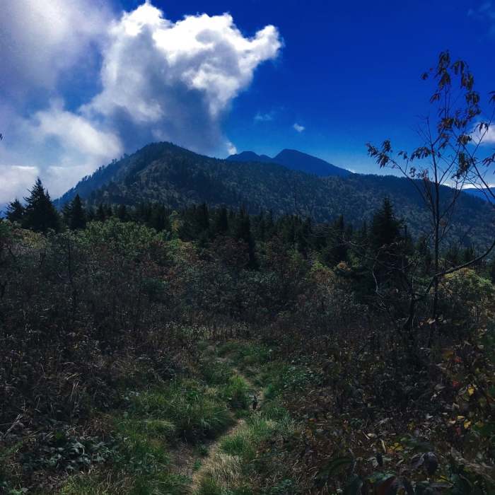 Near Winterstar Trail to Horse Rock Bald