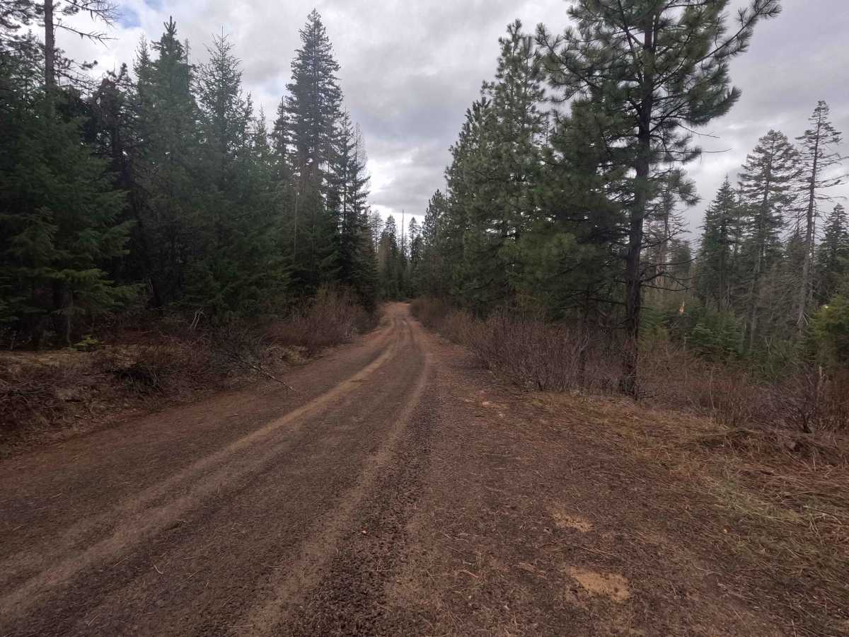 Cross Canyon - FS 6217 photo 4