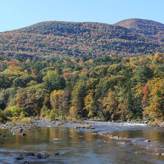 View from the trail. Near Ashokan Rail Trail