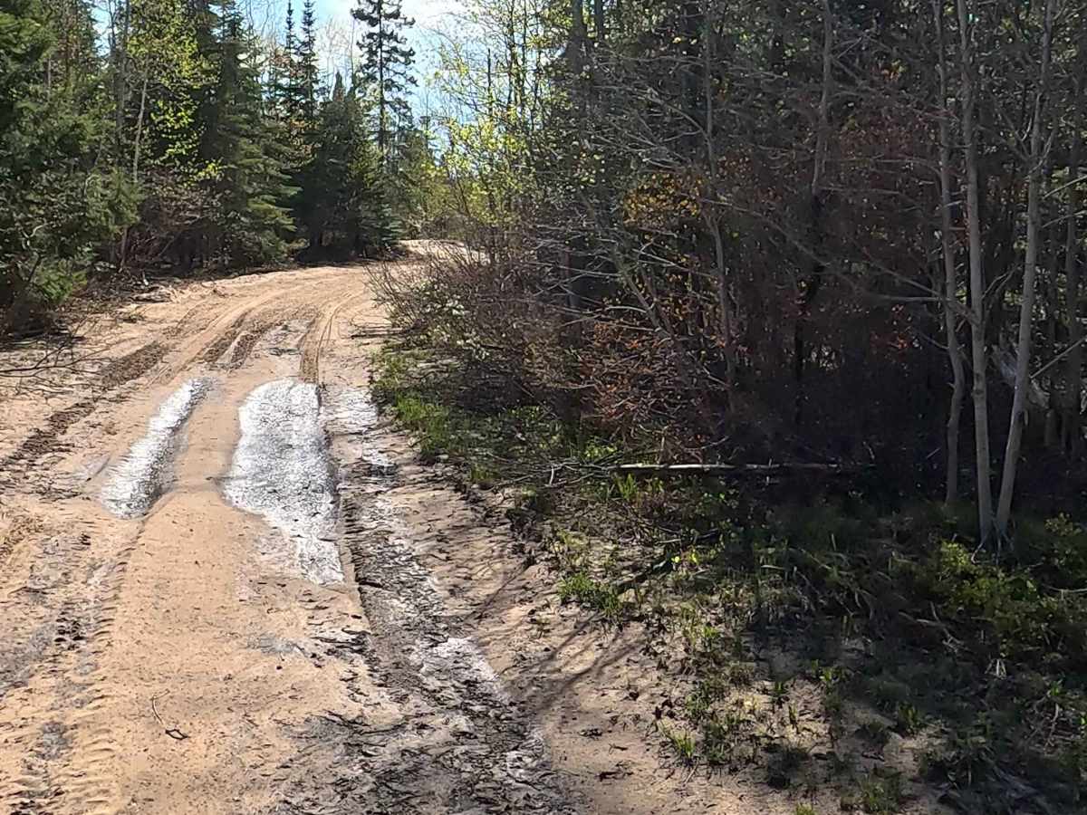 North Beaver Road - East photo 6