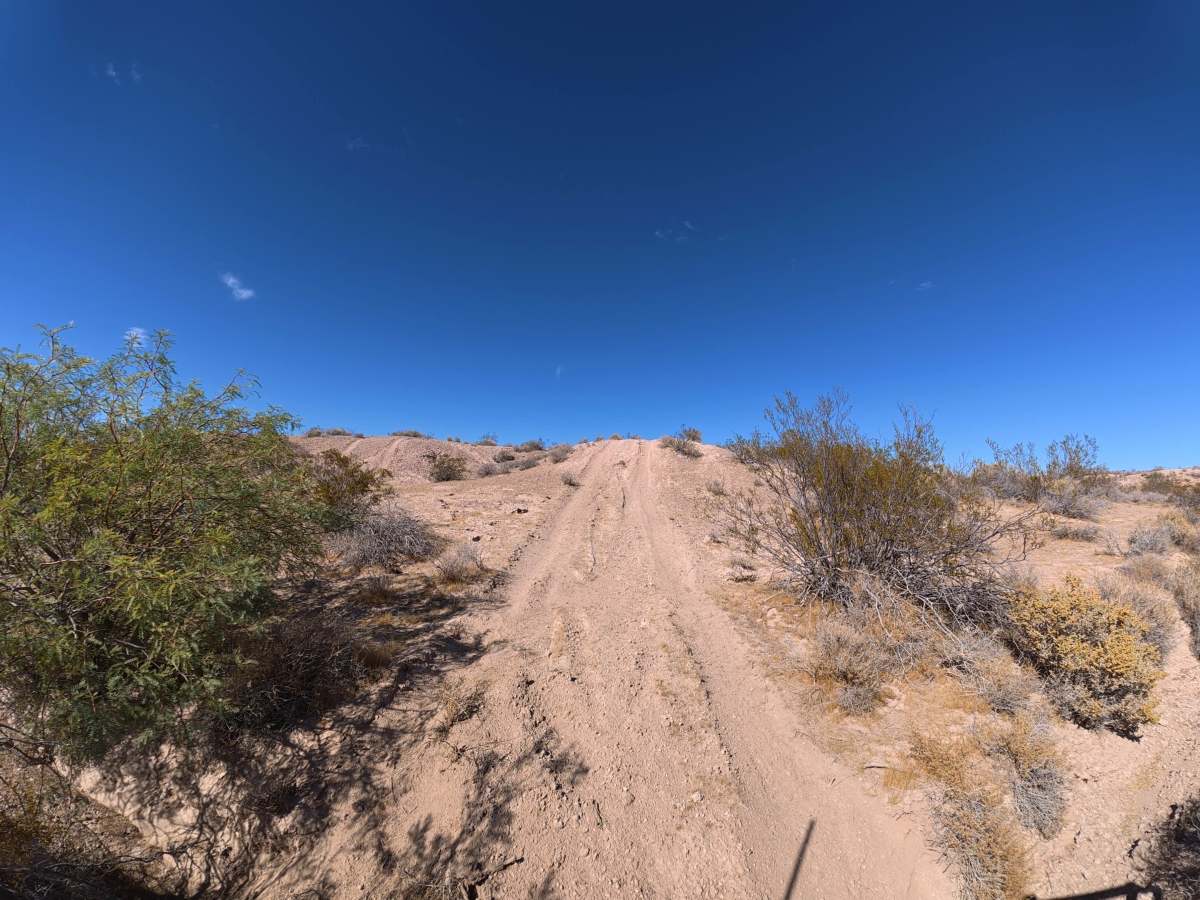 Sand Valley Plant Road trail photo