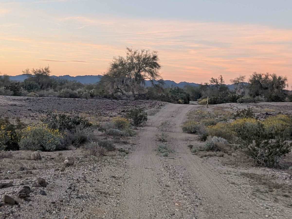 Walker Way - BLM 656 photo 4