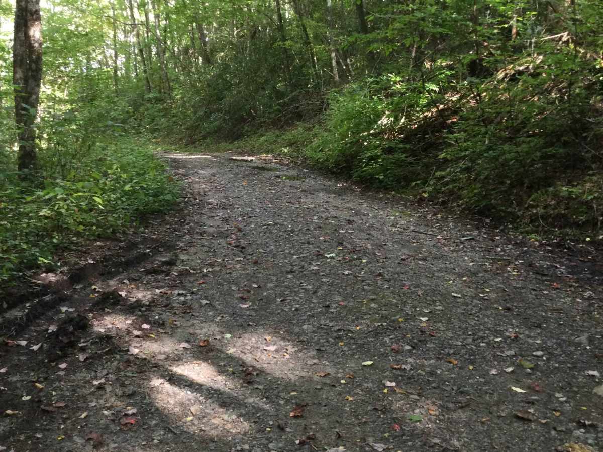 Wolf Mountain Road trail photo