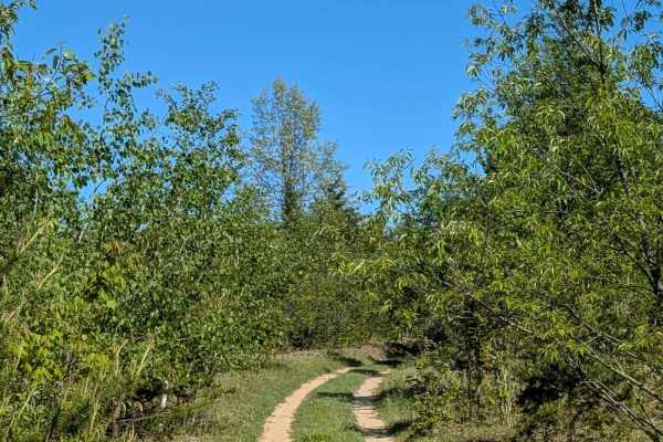 Huntfield Trail
