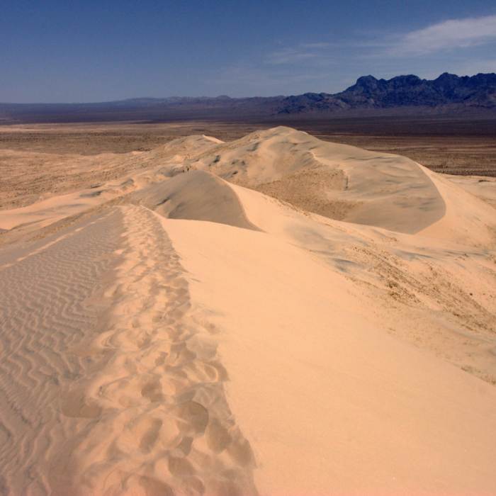 Near Kelso Dunes Route