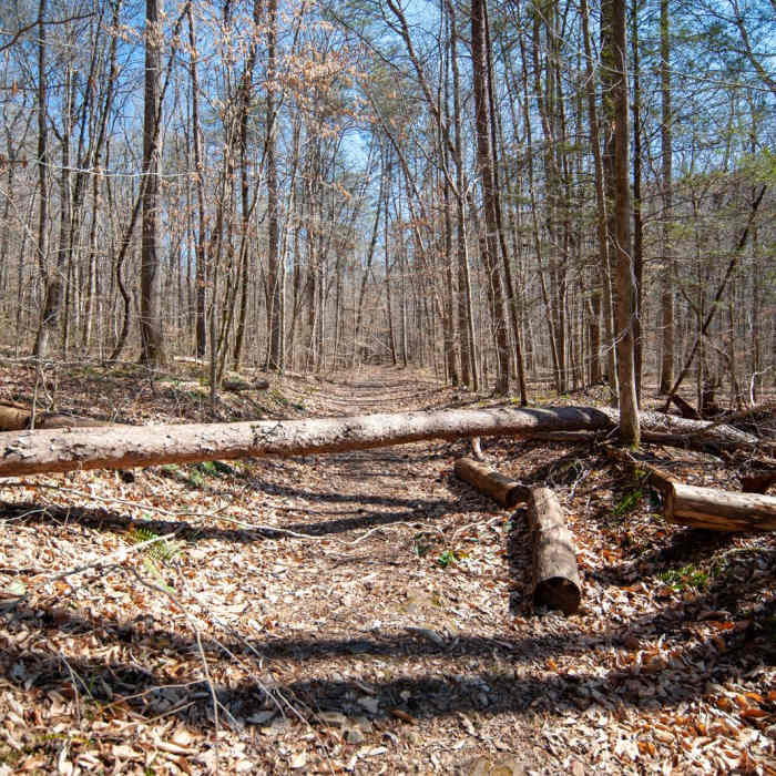 Near Prater Place and Hemlock Falls