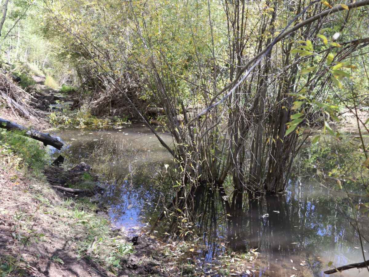 Bennett Creek 2 photo 3
